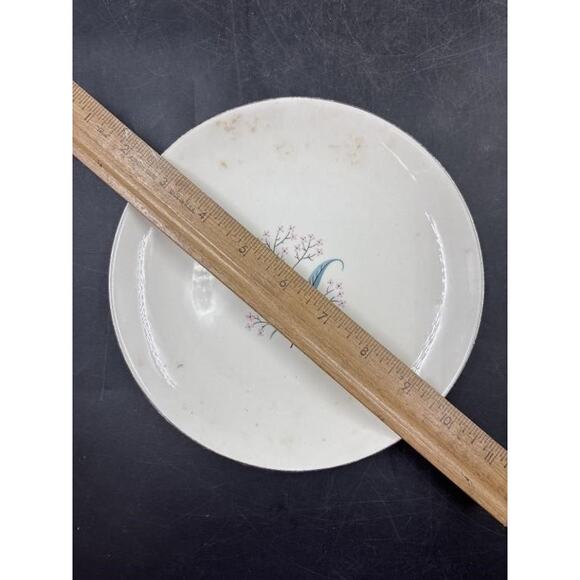 Alliance China Co. Regal Hand Decorated China Set - Platinum Rim -Chip on Saucer - Picture 13 of 16